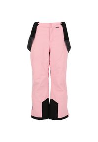 Dziecięce spodnie narciarskie Whistler Drizzle 10000. Kolor: różowy. Sezon: zima. Sport: narciarstwo #1