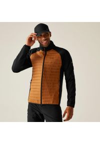 Regatta - Kurtka męska hybrydowa Clumber. Kolor: pomarańczowy. Materiał: puch. Sport: turystyka piesza #1