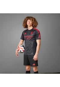 Adidas - Koszulka piłkarska ADIDAS Benfica wyjazdowa 2024/2025. Sezon: lato. Sport: piłka nożna