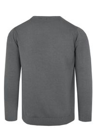 Klasyczny Sweter Męski - Rigon - Bawełna - Ciemny Popiel. Materiał: bawełna. Wzór: nadruk. Styl: klasyczny #3