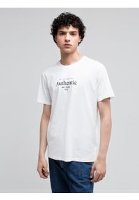 Big-Star - Koszulka męska z krótkim rękawem z linii Authentic Reagiser 100. Kolor: biały. Materiał: jeans, bawełna. Długość rękawa: krótki rękaw. Długość: krótkie. Wzór: nadruk #7