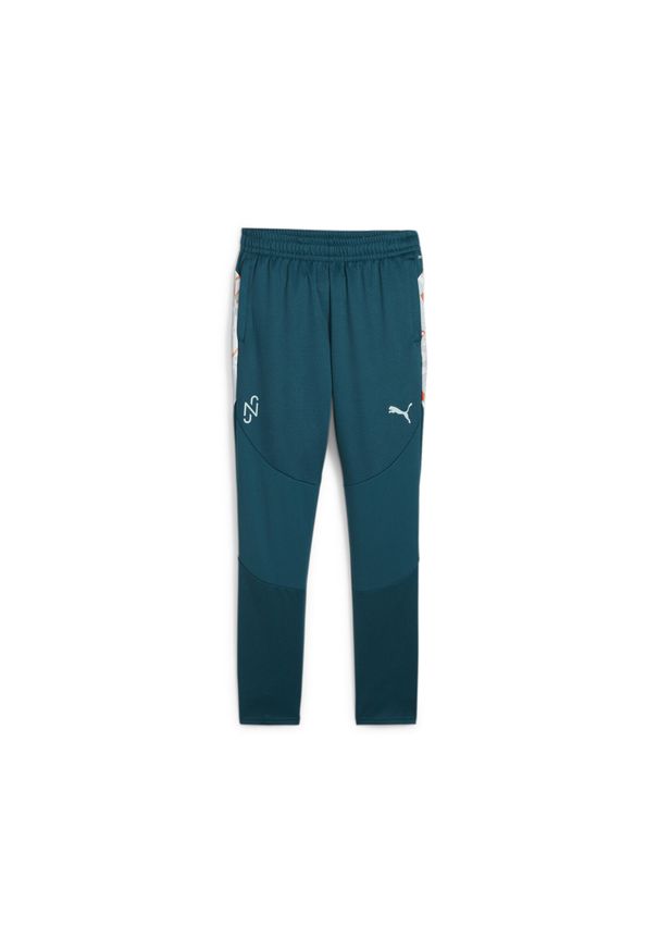 Spodnie Puma Neymar Jr Creativity Training Pants Jr, Dzieci. Kolor: pomarańczowy, niebieski, wielokolorowy. Materiał: poliester, materiał. Sport: piłka nożna