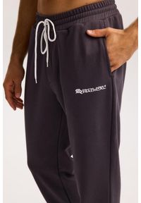 ROUGH RADICAL - Męskie spodnie dresowe sportowe Rough Radical Cotton Active Joggers. Kolor: szary. Materiał: dresówka