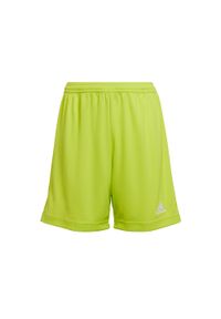 Adidas - Spodenki piłkarskie dla dzieci adidas Entrada 22. Kolor: zielony