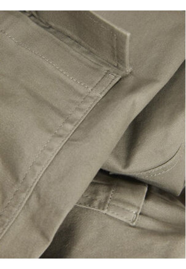 JJXX Spodnie materiałowe 12236946 Zielony Regular Fit. Kolor: zielony. Materiał: bawełna