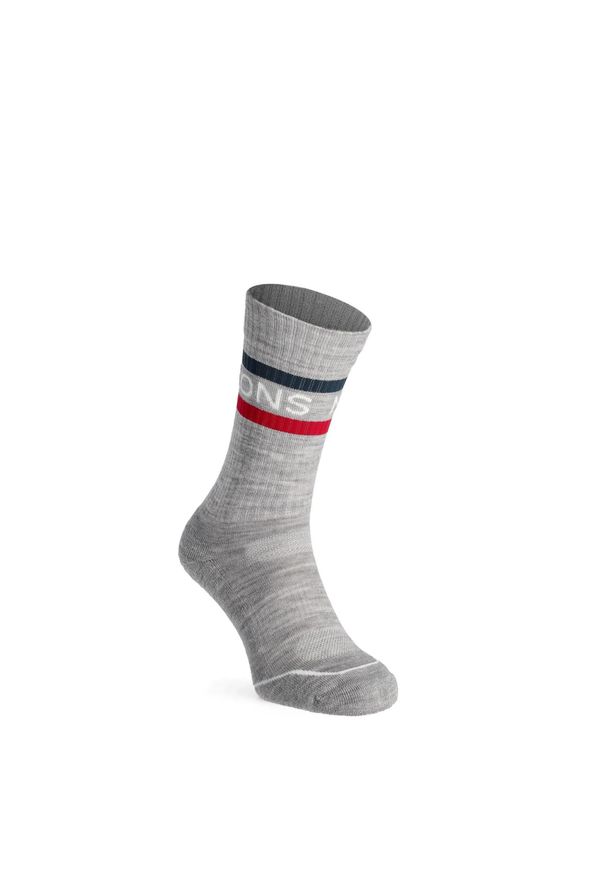 MONS ROYALE - Skarpety turystyczne Mons Royale Signature Crew Sock. Kolor: szary. Sport: turystyka piesza