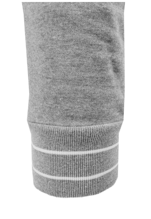 Dresowe Spodnie, Męskie - Pako Jeans - Szare. Kolor: szary. Materiał: bawełna, wiskoza. Styl: sportowy
