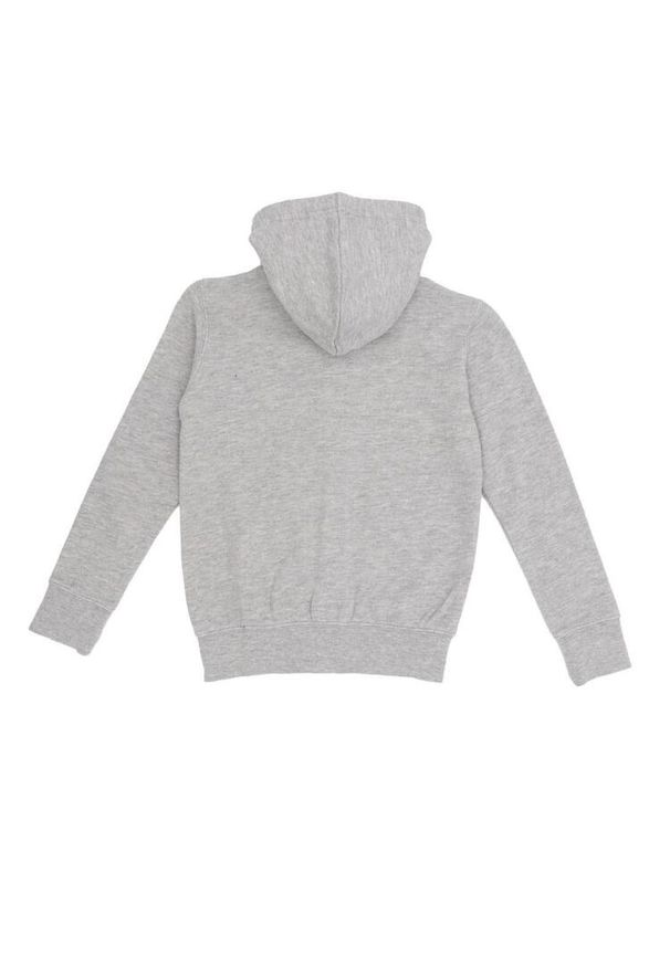 LEONE 1947 APPAREL - Bluza dziecięca z kapturem i zamkiem Basic. Typ kołnierza: kaptur. Kolor: szary. Sport: joga i pilates