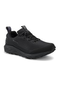 Buty trekkingowe Haglöfs L.I.M FH GTX Low. Kolor: czarny. Sport: turystyka piesza