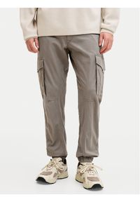 Jack & Jones Spodnie materiałowe Paul Flake 12139912 Szary Regular Fit. Kolor: szary. Materiał: bawełna #1