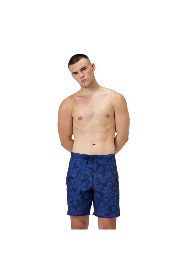 Spodenki szorty plażowe na basen męskie Speedo Print BoardShort. Kolor: niebieski. Wzór: nadruk