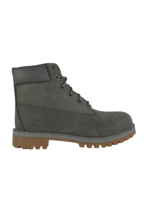 Buty do chodzenia dla dzieci Timberland. Kolor: szary. Sport: turystyka piesza