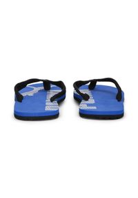 Klapki Puma Epic Flip V2 unisex. Okazja: na plażę. Kolor: czarny, szary, niebieski, wielokolorowy. Sezon: lato. Styl: sportowy