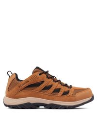 columbia - Columbia Trekkingi 1781181 Brązowy. Kolor: brązowy. Materiał: zamsz, skóra. Sport: turystyka piesza