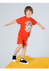 Sinsay - Szorty Tom & Jerry Core - czerwony. Kolor: czerwony
