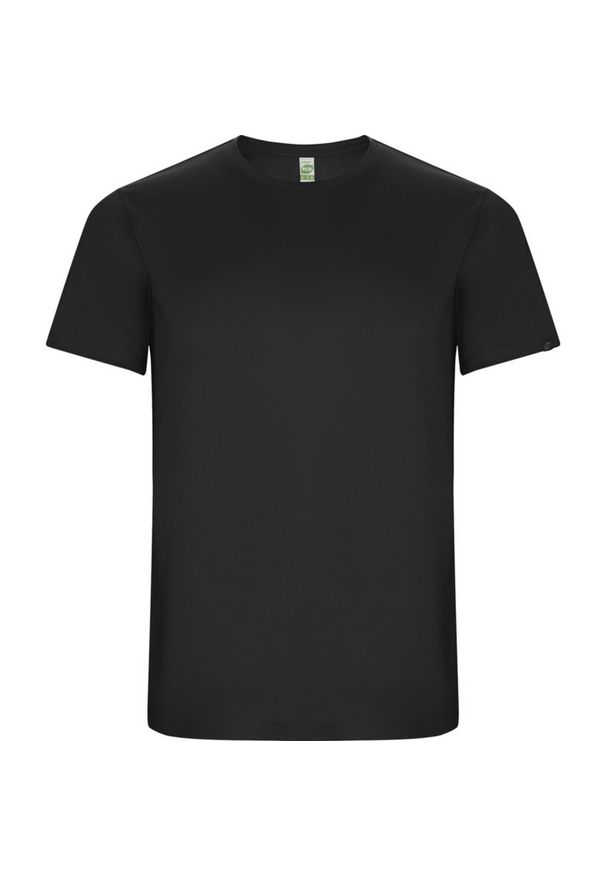 ROLY - Męska Koszulka Sportowa Imola Z Krótkim Rękawem. Kolor: szary, niebieski, wielokolorowy. Długość rękawa: krótki rękaw. Długość: krótkie. Sport: turystyka piesza