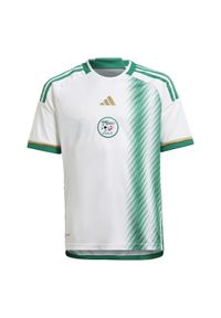 Adidas - Algeria 22 Home Jersey. Kolor: biały, zielony, wielokolorowy. Materiał: jersey