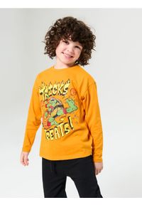Sinsay - Koszulka z długimi rękawami Teenage Mutant Ninja Turtles - pomarańczowy. Kolor: pomarańczowy. Długość rękawa: długi rękaw. Długość: długie #1