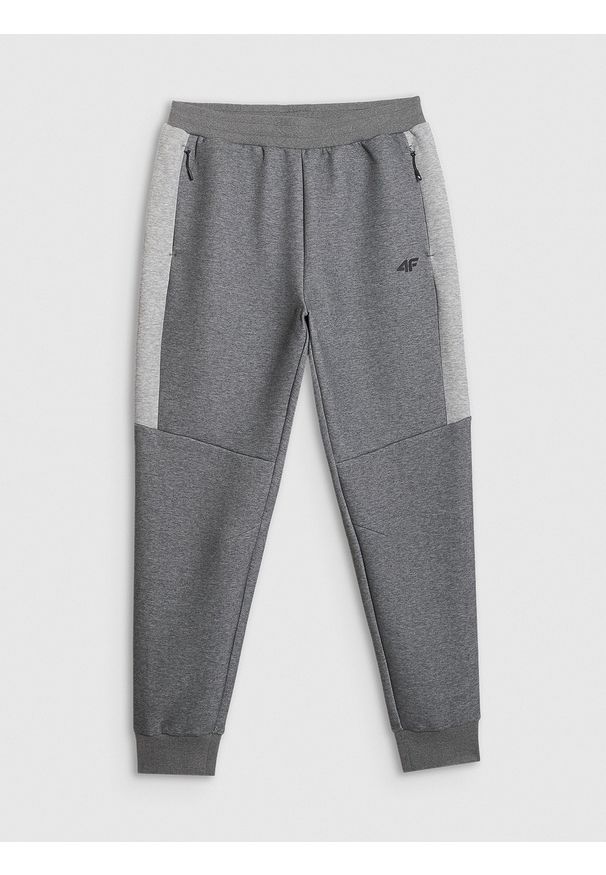 4f - 4F Spodnie dresowe joggery męskie - szare 3XL. Kolor: szary. Materiał: dresówka. Sport: fitness