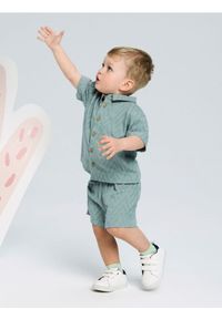 Sinsay - Koszula z żakardowej dzianiny - zielony. Kolor: zielony. Materiał: dzianina, żakard #1