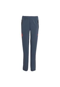 Adidas - Spodnie dla dzieci FC Bayern Tiro 25 Competition Vis Tech Travel. Kolor: szary, pomarańczowy, wielokolorowy. Materiał: dresówka. Styl: sportowy, młodzieżowy
