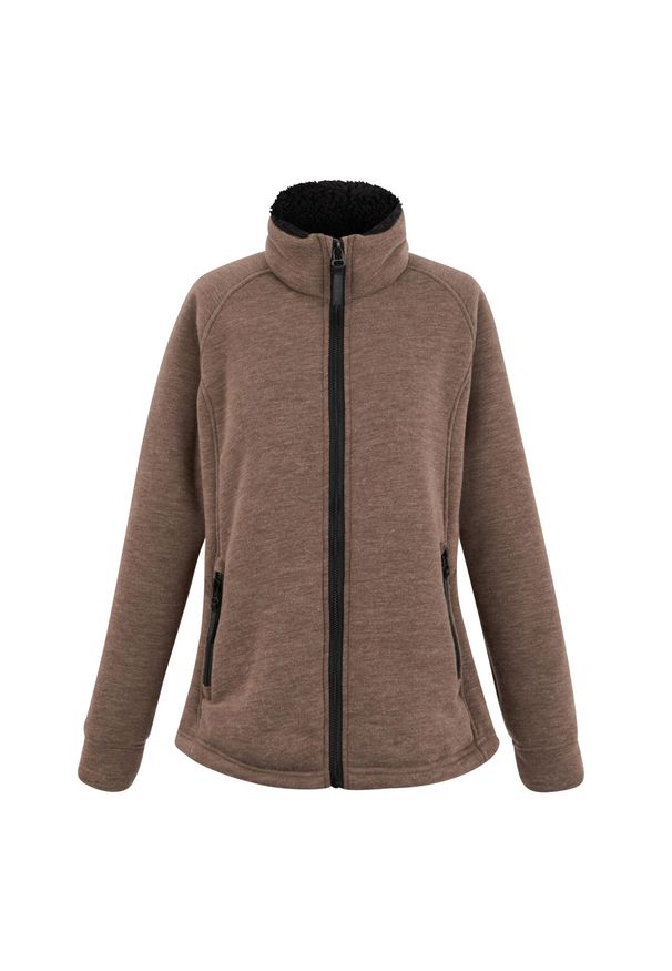 Regatta - Damska Bluza Polarowa Emilde Z Pełnym Zamkiem Błyskawicznym. Kolor: brązowy. Materiał: polar. Sezon: zima