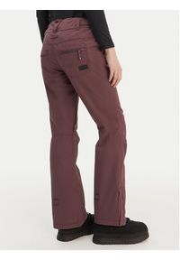 Roxy Spodnie narciarskie Nadia PT ERJTP03296 Fioletowy Tailored Fit. Kolor: fioletowy. Materiał: syntetyk. Sport: narciarstwo #2