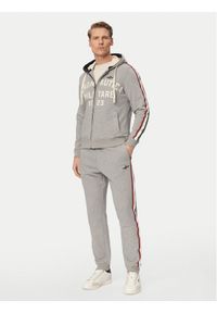 Aeronautica Militare Dres 261TF0107UF00677 Szary Regular Fit. Kolor: szary. Materiał: bawełna #1
