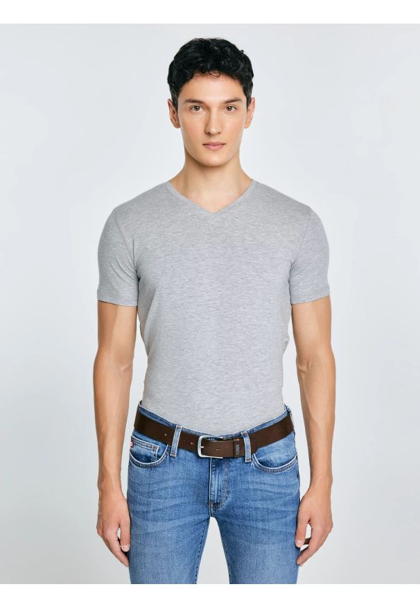 Big-Star - Koszulka męska v-neck z bawełny supima szara Supiclassicov 901. Kolor: szary. Materiał: bawełna. Długość: długie