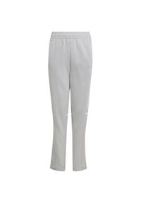 Adidas - Spodnie dla dzieci adidas Squadra 25 Sweat. Okazja: na co dzień. Kolor: biały, szary, wielokolorowy. Materiał: dresówka. Styl: sportowy, casual