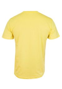 Stedman - Żółty Bawełniany T-Shirt Męski Bez Nadruku -STEDMAN- Koszulka, Krótki Rękaw, Basic, U-neck. Okazja: na co dzień. Kolor: złoty, żółty, wielokolorowy. Materiał: bawełna. Długość rękawa: krótki rękaw. Długość: krótkie. Styl: casual