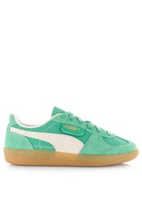 Buty Mężczyzna Puma Palermo Vintage zielony. Okazja: na co dzień. Kolor: zielony