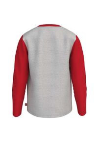 LEGO - Lego longsleeve bawełniany dziecięcy kolor szary z nadrukiem. Okazja: na co dzień. Kolor: szary. Materiał: bawełna. Długość rękawa: długi rękaw. Wzór: nadruk. Styl: casual #3