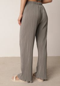 Born2be - Szare Szerokie Spodnie z Wysokim Stanem ze Zwiewnej Tkaniny z Plisami Galiris. Okazja: do pracy, na co dzień, na spotkanie biznesowe. Stan: podwyższony. Kolor: szary. Materiał: tkanina. Długość: długie. Styl: elegancki, biznesowy, casual #2