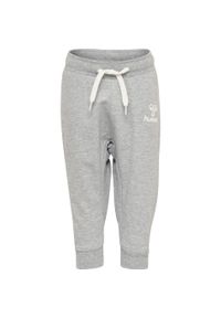 Spodnie dresowe dla dzieci Hummel hmlAPPLE. Kolor: szary. Materiał: dresówka. Sport: bieganie