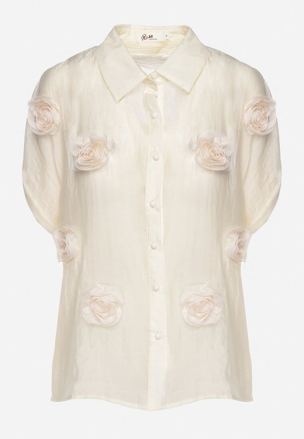 Born2be - Jasnobeżowa Koszula Zapinana na Guziki Ozdobiona Aplikacją Opalea. Okazja: na co dzień. Typ kołnierza: kołnierzyk klasyczny. Kolor: beżowy. Materiał: materiał. Długość rękawa: długi rękaw. Długość: długie. Wzór: aplikacja. Styl: elegancki, casual, klasyczny