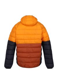 Regatta - Męska Kurtka Harrock II Baffled Padded Jacket. Kolor: brązowy, pomarańczowy, wielokolorowy