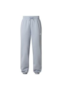 Spodnie damskie The North Face Essential Relaxed Straight 0A8C1GFM21 - szare. Kolor: szary. Materiał: bawełna, poliester #1