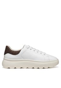Sneakersy Geox. Kolor: biały