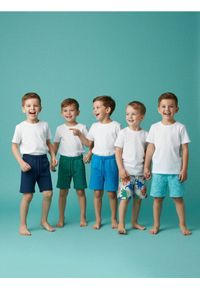 Sinsay - Szorty dresowe 5 pack - granatowy. Kolor: niebieski. Materiał: dresówka #1