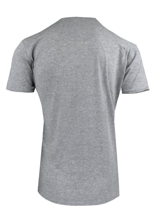 Męski T-Shirt Jednokolorowy - Brave Soul - Popielata. Okazja: na co dzień. Kolor: szary. Materiał: wiskoza, bawełna. Styl: casual