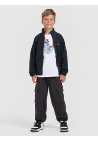 4f - 4F Polar regular ze stójką chłopięcy - granatowy 146 (10-11 lat). Typ kołnierza: kołnierzyk stójkowy. Kolor: niebieski. Materiał: polar. Sezon: lato #2