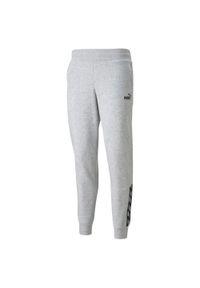 Puma - Spodnie Do Biegania Power Dla Kobiet. Kolor: szary. Materiał: dresówka