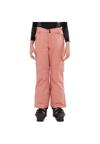 FUNDANGO - Spodnie dresowe Berge Pants - różowy. Kolor: różowy. Materiał: dresówka. Sport: narciarstwo