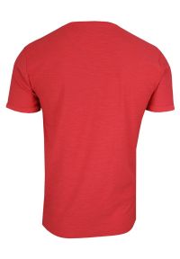 Koralowy Bawełniany T-Shirt Męski Bez Nadruku -Brave Soul- Czerwona Koszulka, Krótki Rękaw, Melanż. Okazja: na co dzień. Kolor: czerwony. Materiał: bawełna. Długość rękawa: krótki rękaw. Długość: krótkie. Wzór: melanż. Sezon: wiosna, lato. Styl: casual #2