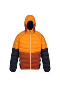 Regatta - Męska Kurtka Harrock II Baffled Padded Jacket. Kolor: brązowy, wielokolorowy, pomarańczowy