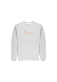 Bluza sportowa męska Poler Scuba Steve. Kolor: szary. Materiał: bawełna, poliester