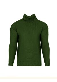 La Haine Inside Us Sweter "Turtleneck" | LM278 | Mężczyzna | Zielony. Okazja: na co dzień. Typ kołnierza: golf. Kolor: zielony. Materiał: wełna, poliester. Wzór: jednolity. Styl: casual, elegancki #4