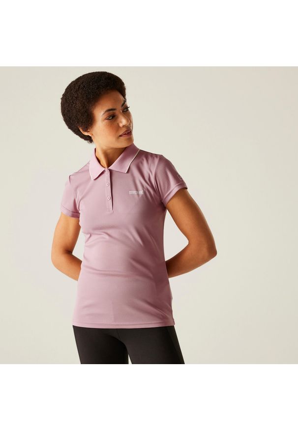 Regatta - Damska koszulka turystyczna polo Maverick V. Typ kołnierza: polo. Kolor: fioletowy. Materiał: materiał. Sport: turystyka piesza