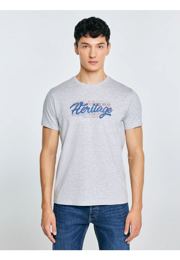 Big-Star - Koszulka męska z nadrukiem szara Keren 902. Kolor: szary. Materiał: bawełna. Wzór: nadruk